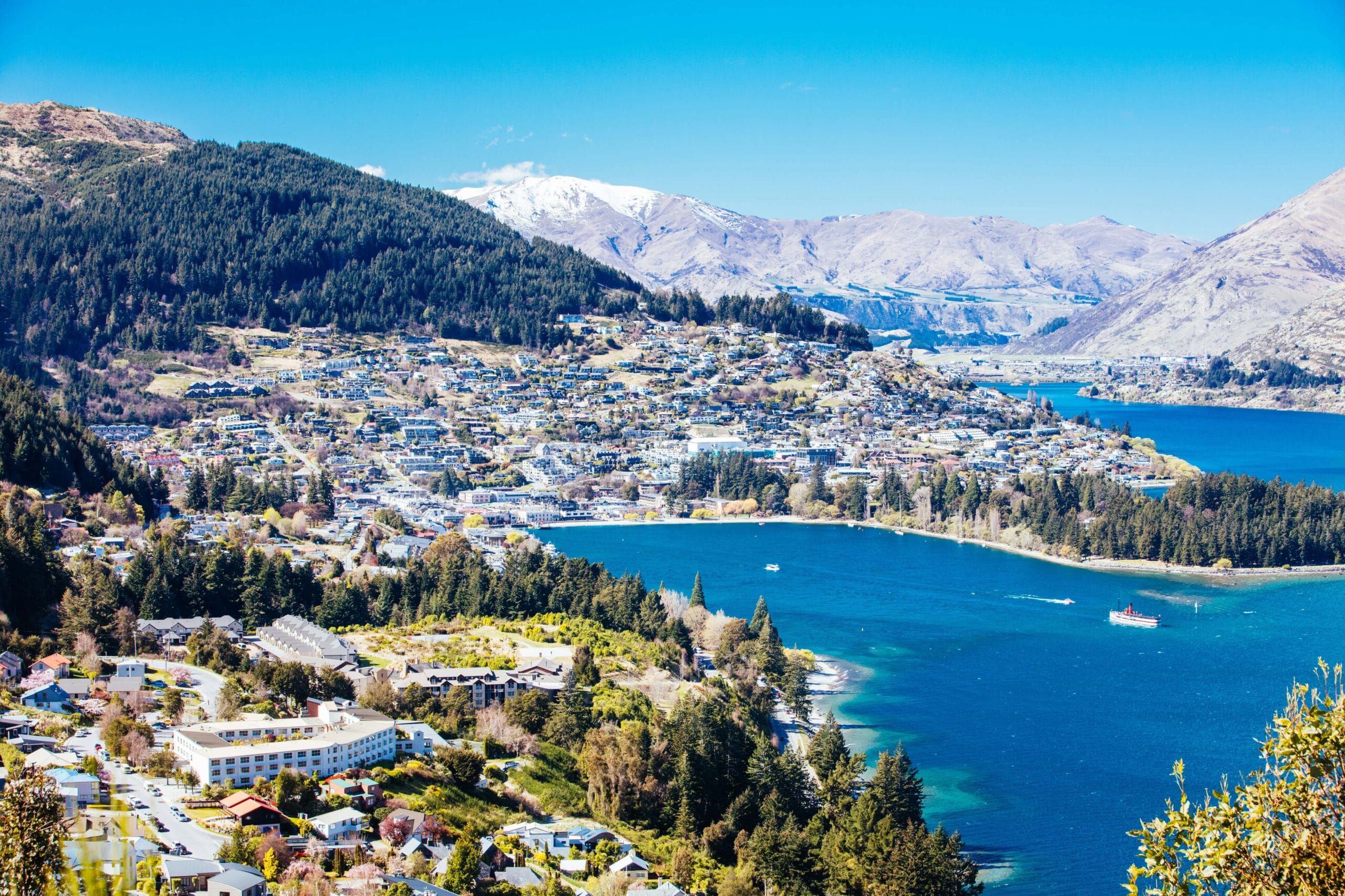 Partnership with Language Schools New Zealand (LSNZ)